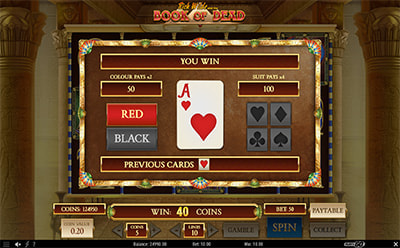 Book of Dead老虎机游戏奖金