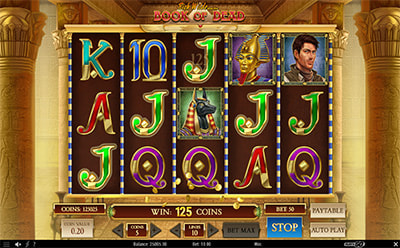 移动版Book of Dead老虎机游戏