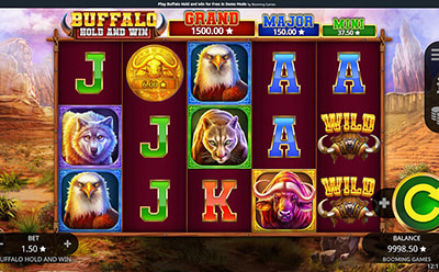 20Bet 香港網上賭場 Buffalo Hold and Win 老虎機遊戲